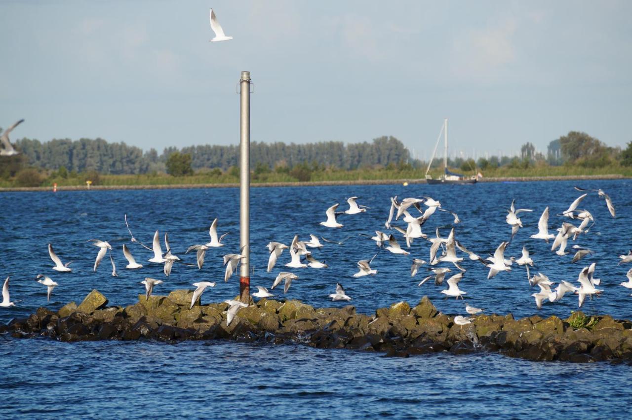 B&B Logeren Bij De Burgemeester Stad aan 't Haringvliet Экстерьер фото
