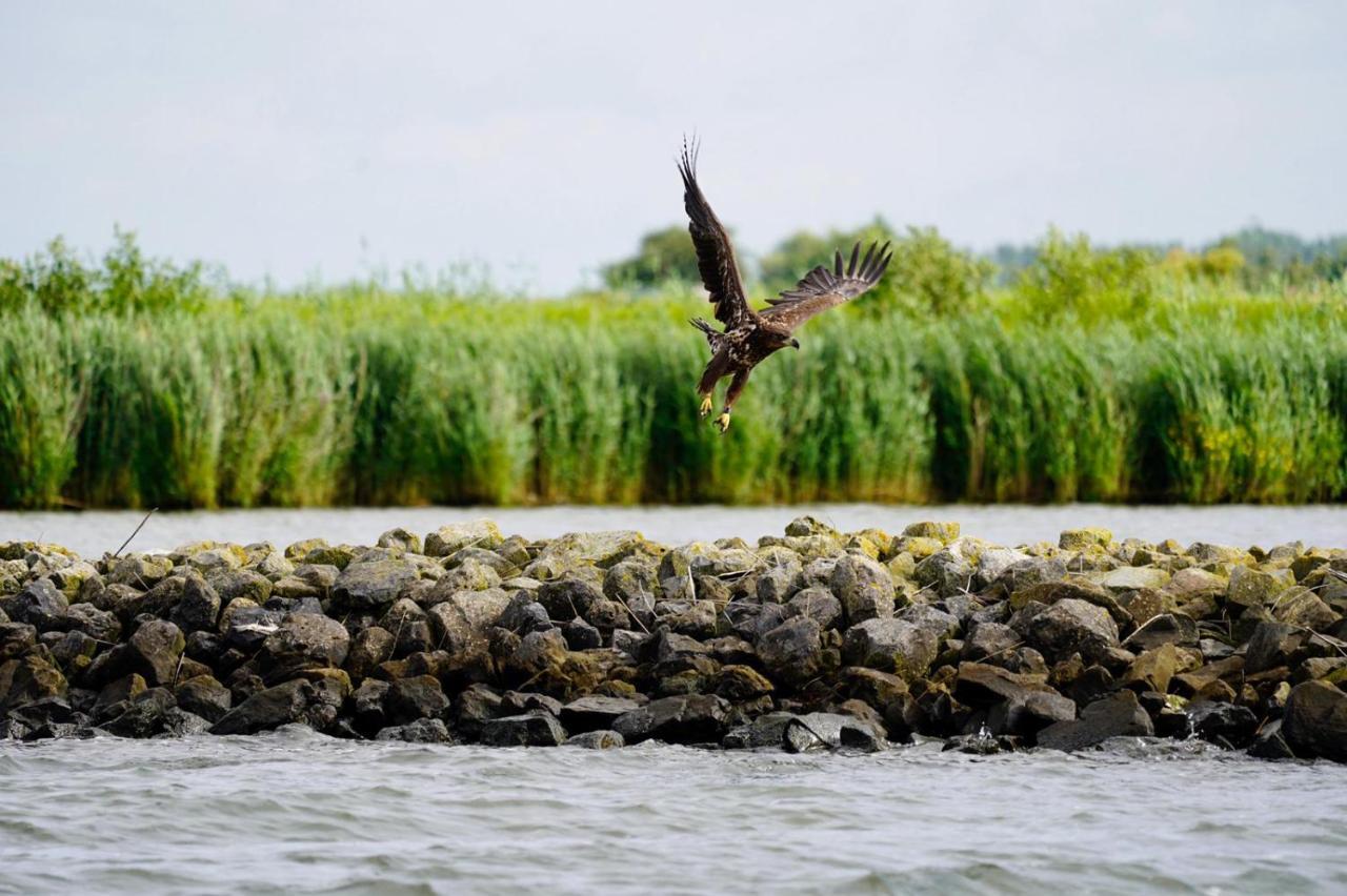 B&B Logeren Bij De Burgemeester Stad aan 't Haringvliet Экстерьер фото